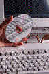 Programing